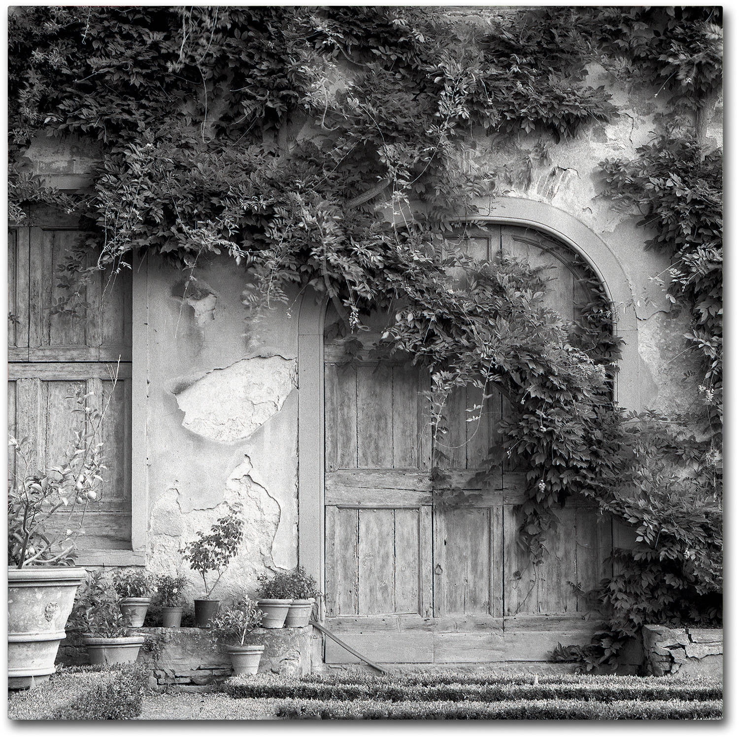 Trademark Fine Art "Tuscany VI" Canvas Art by Alan Blaustein