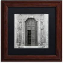 Trademark Fine Art "Tuscany VII" Canvas Art by Alan Blaustein, Black Matte, Wood Frame