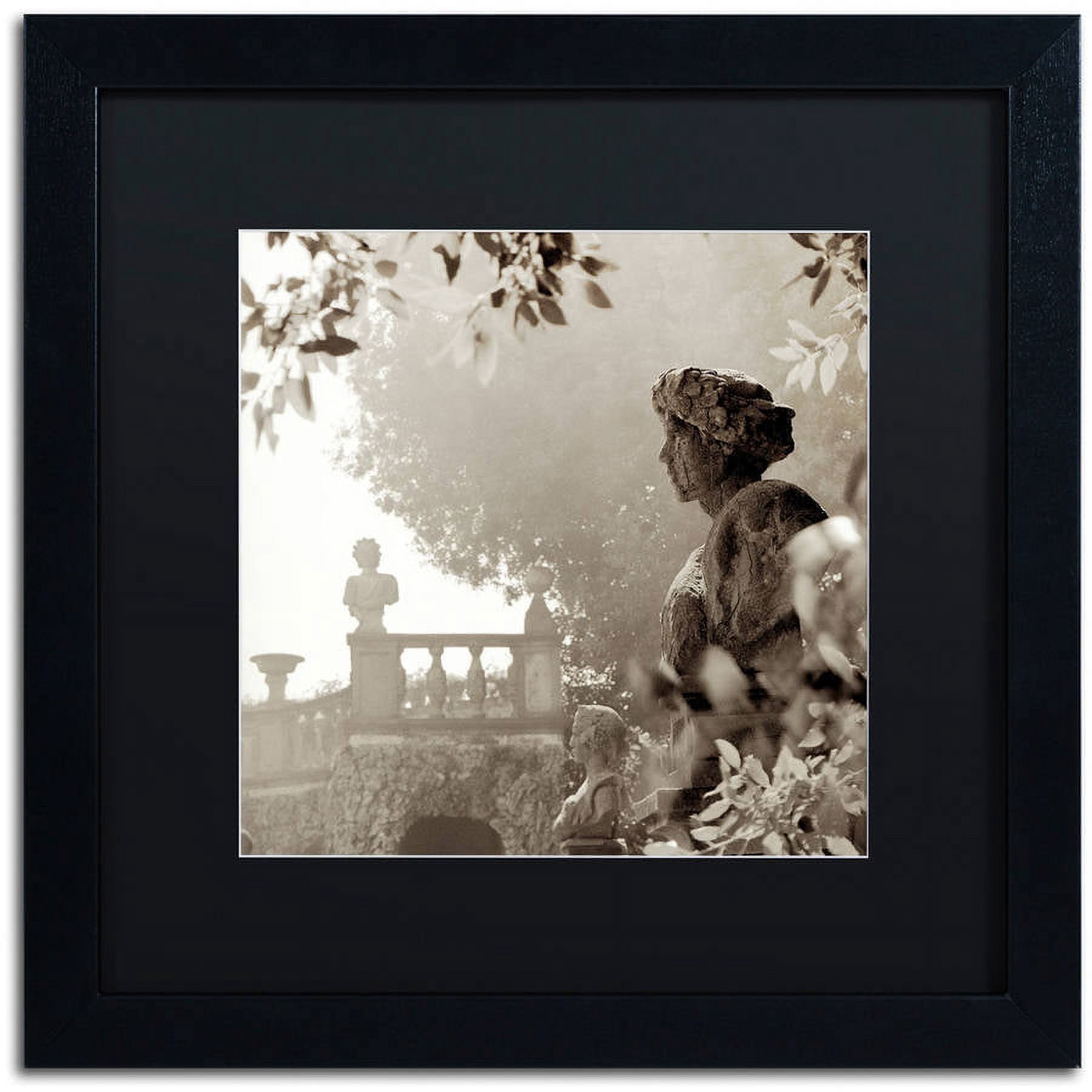 Trademark Fine Art "Tuscany VIII" Canvas Art by Alan Blaustein, Black Matte, Black Frame
