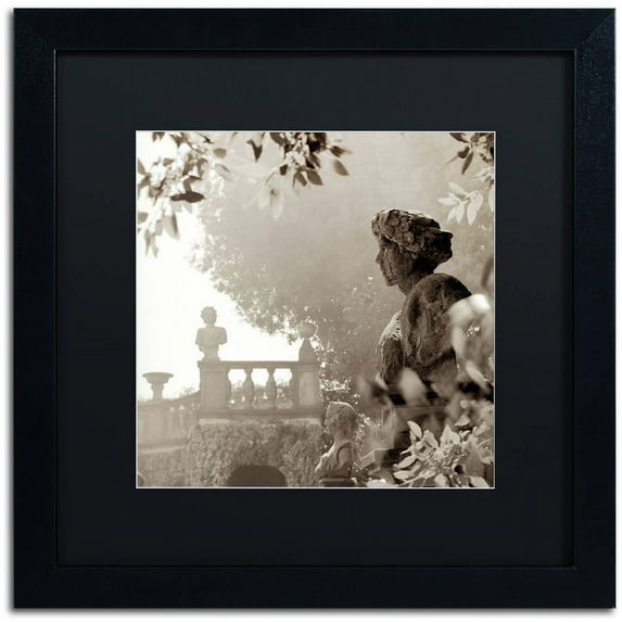 Trademark Fine Art "Tuscany VIII" Canvas Art by Alan Blaustein, Black Matte, Black Frame