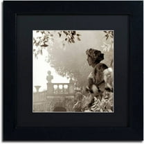 Trademark Fine Art "Tuscany VIII" Canvas Art by Alan Blaustein, Black Matte, Black Frame