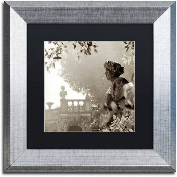 Trademark Fine Art "Tuscany VIII" Canvas Art by Alan Blaustein, Black Matte, Silver Frame