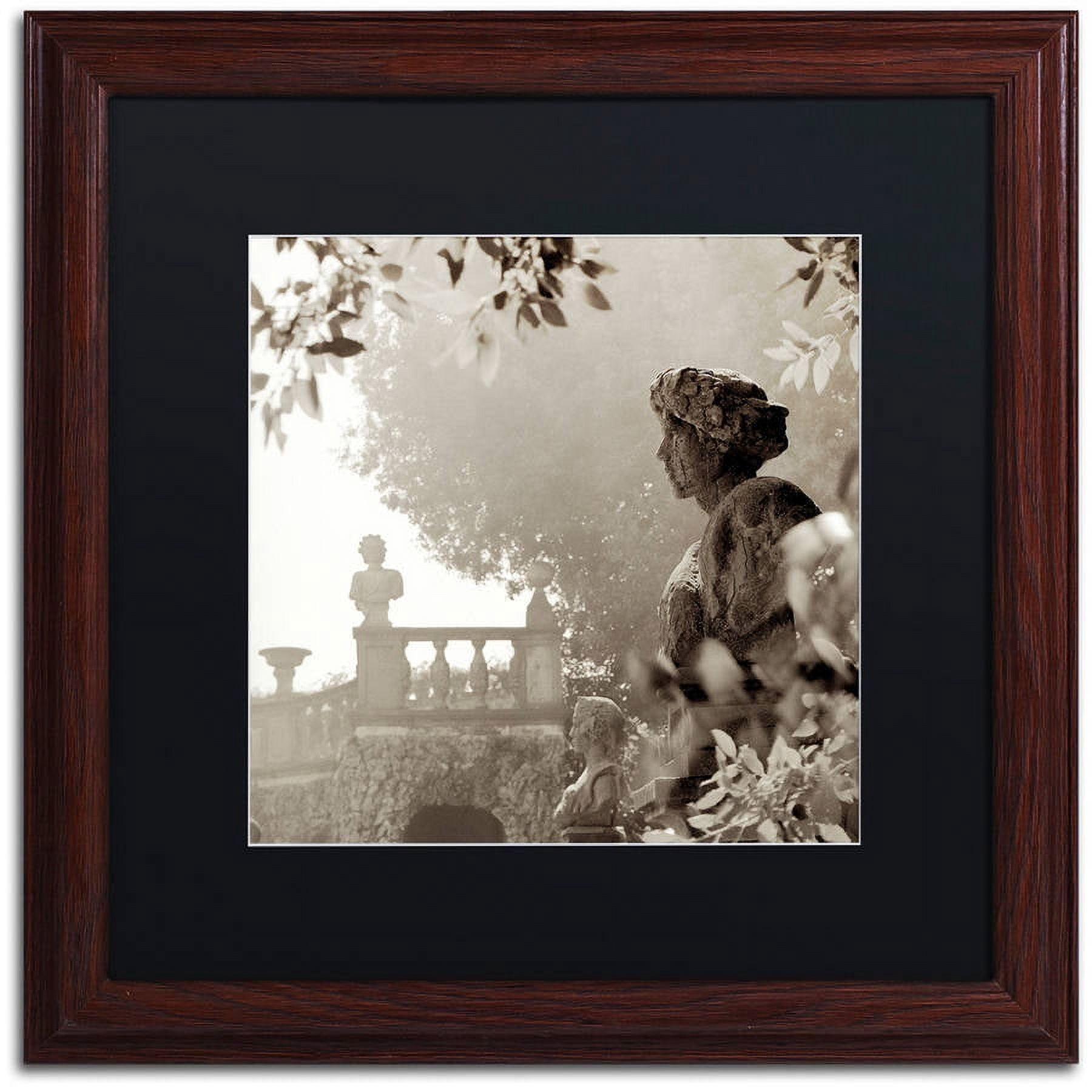 Trademark Fine Art "Tuscany VIII" Canvas Art by Alan Blaustein, Black Matte, Wood Frame