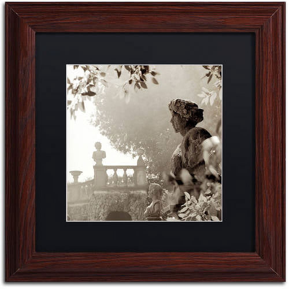Trademark Fine Art "Tuscany VIII" Canvas Art by Alan Blaustein, Black Matte, Wood Frame