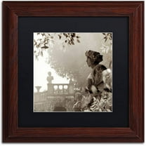 Trademark Fine Art "Tuscany VIII" Canvas Art by Alan Blaustein, Black Matte, Wood Frame