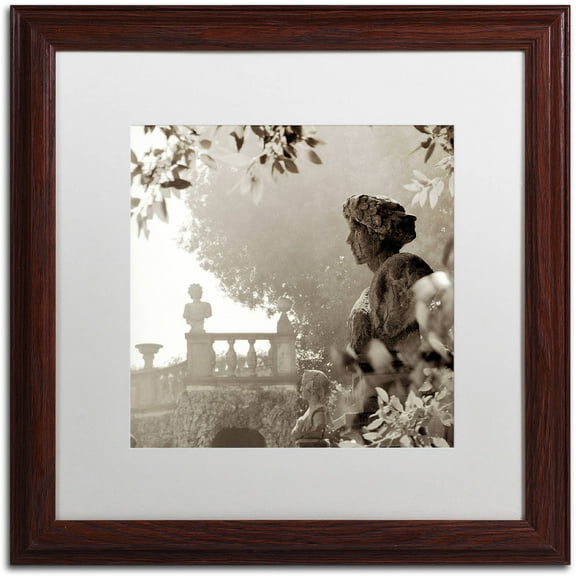 Trademark Fine Art "Tuscany VIII" Canvas Art by Alan Blaustein, White Matte, Wood Frame