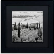 Trademark Fine Art "Tuscany X" Canvas Art by Alan Blaustein, Black Matte, Black Frame