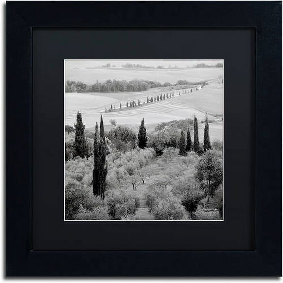 Trademark Fine Art "Tuscany X" Canvas Art by Alan Blaustein, Black Matte, Black Frame
