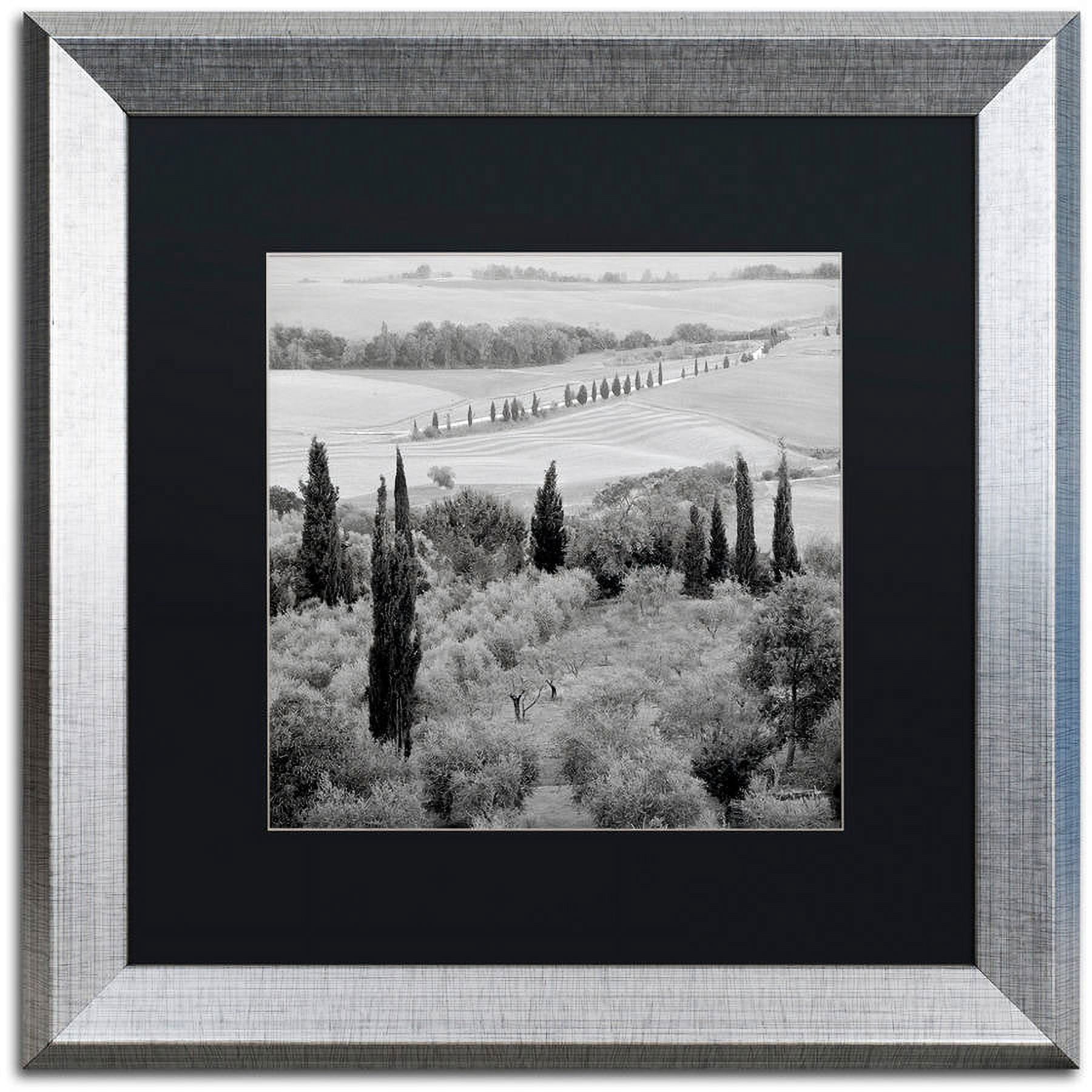 Trademark Fine Art "Tuscany X" Canvas Art by Alan Blaustein, Black Matte, Silver Frame
