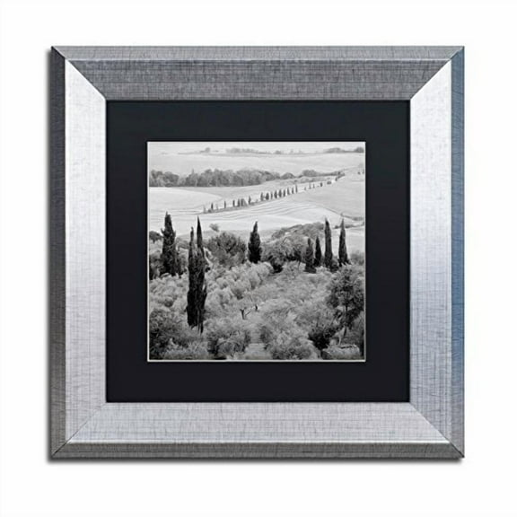 Trademark Fine Art "Tuscany X" Canvas Art by Alan Blaustein, Black Matte, Silver Frame