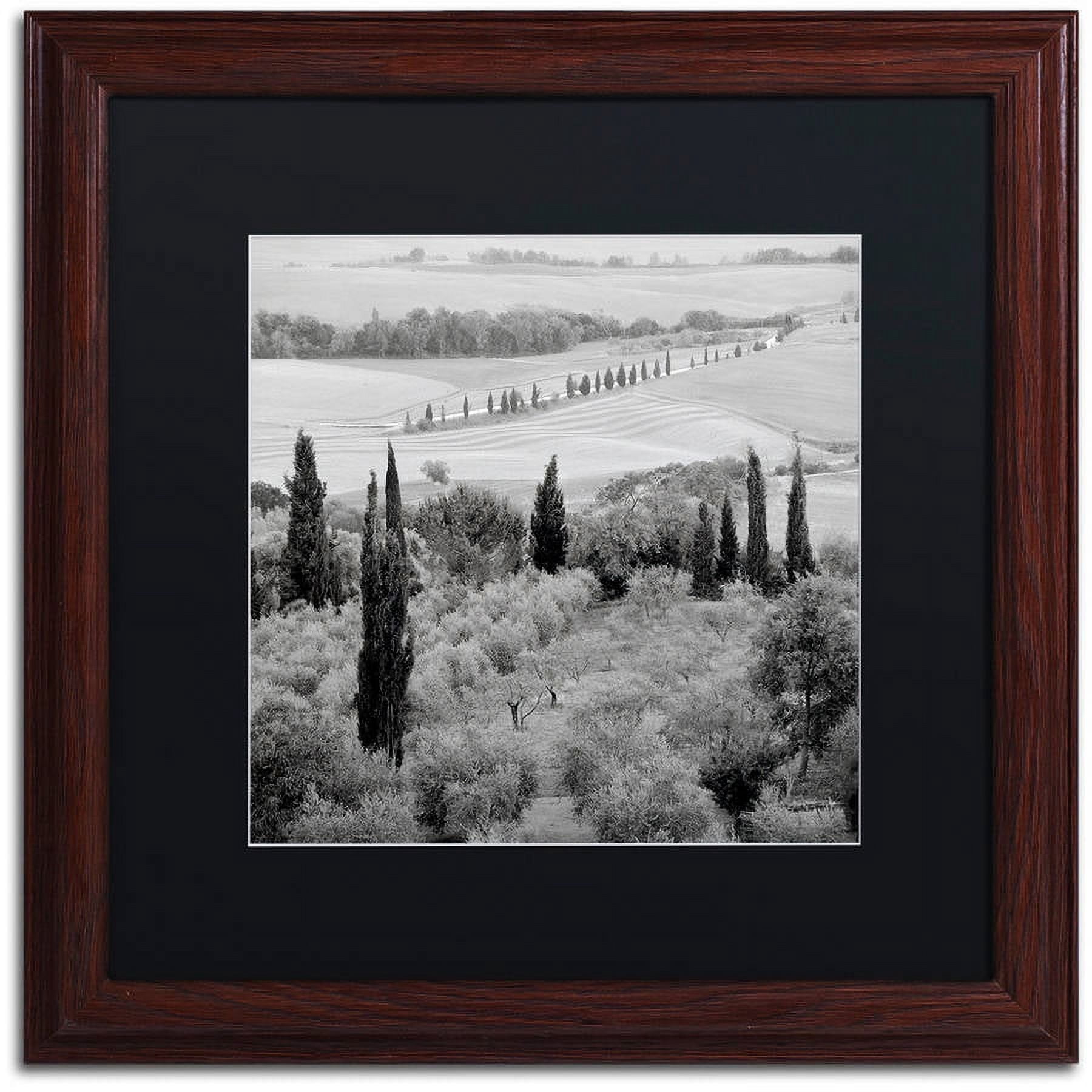 Trademark Fine Art "Tuscany X" Canvas Art by Alan Blaustein, Black Matte, Wood Frame