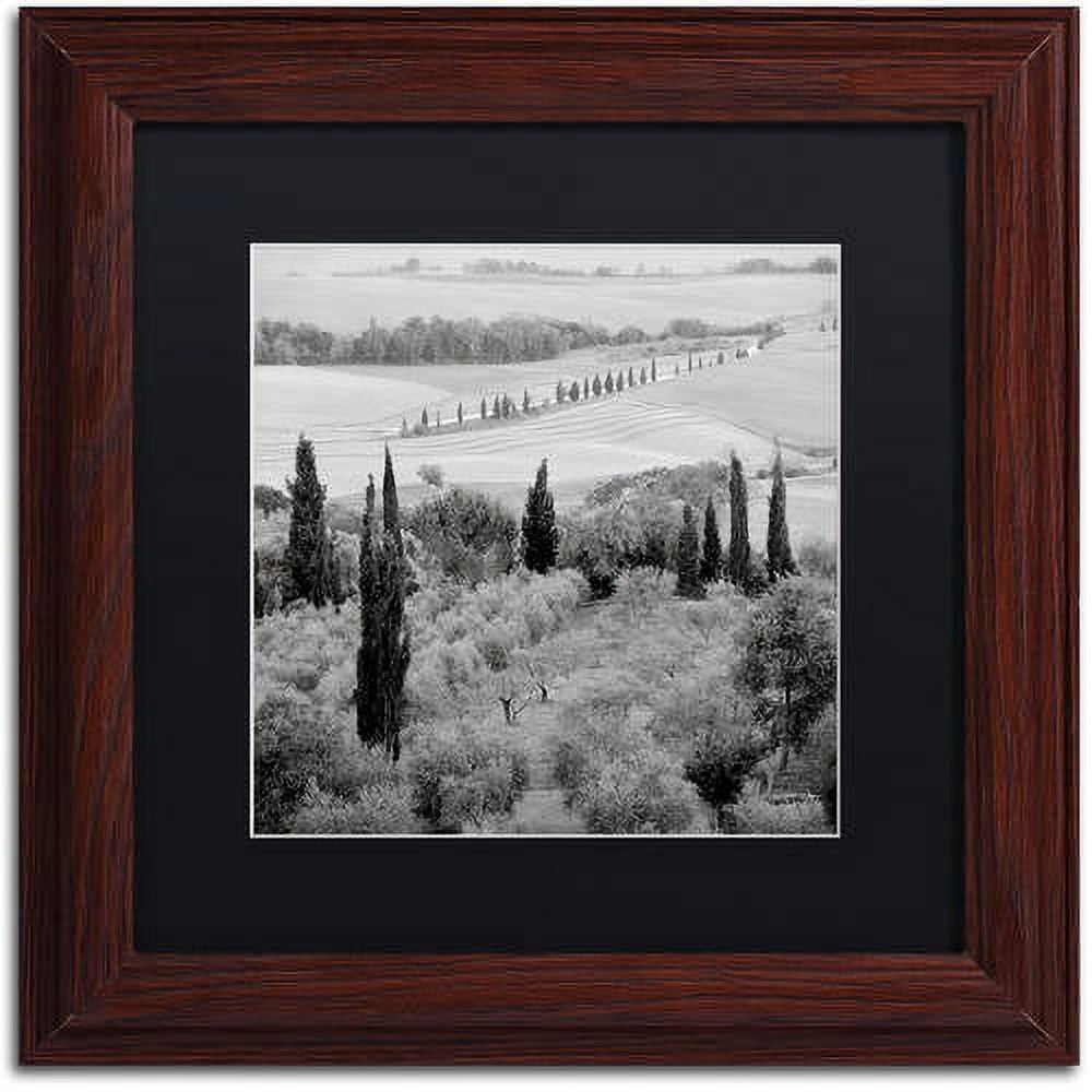Trademark Fine Art "Tuscany X" Canvas Art by Alan Blaustein, Black Matte, Wood Frame