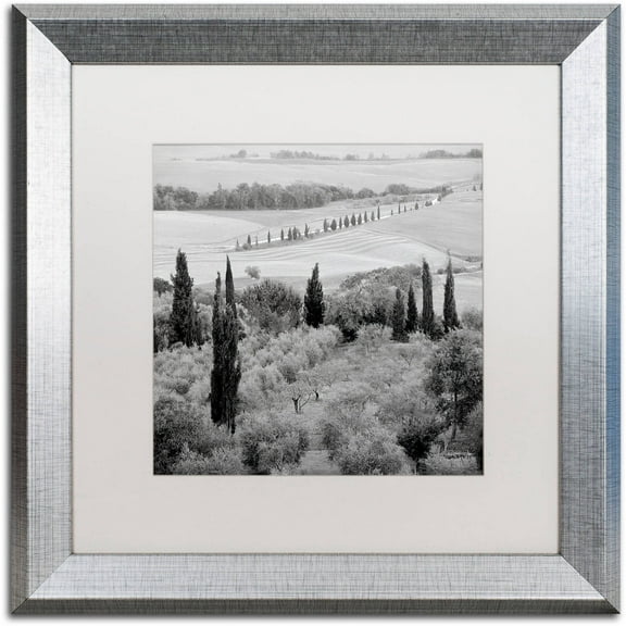Trademark Fine Art "Tuscany X" Canvas Art by Alan Blaustein, White Matte, Silver Frame