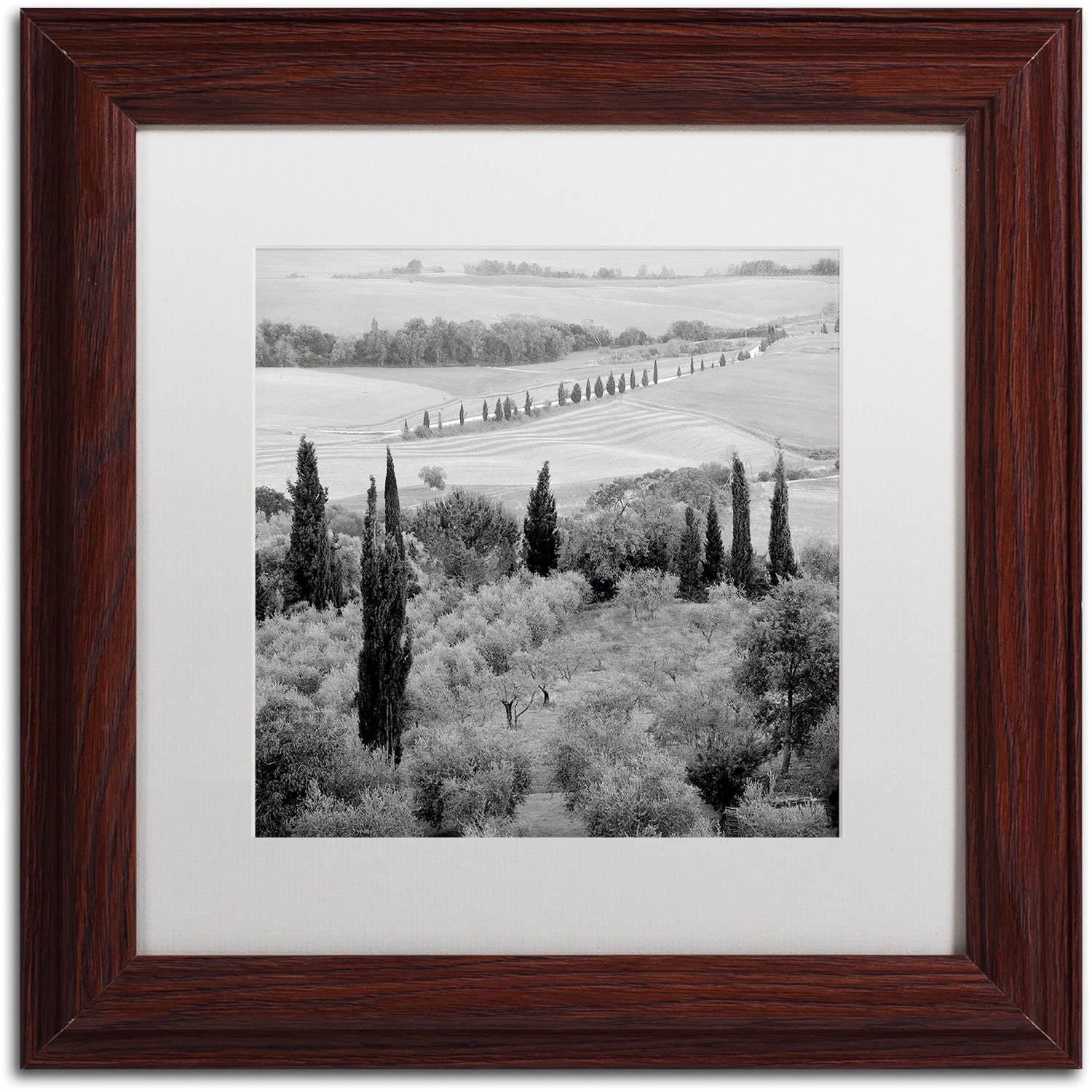 Trademark Fine Art "Tuscany X" Canvas Art by Alan Blaustein, White Matte, Wood Frame