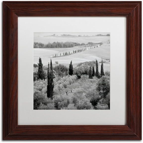 Trademark Fine Art "Tuscany X" Canvas Art by Alan Blaustein, White Matte, Wood Frame