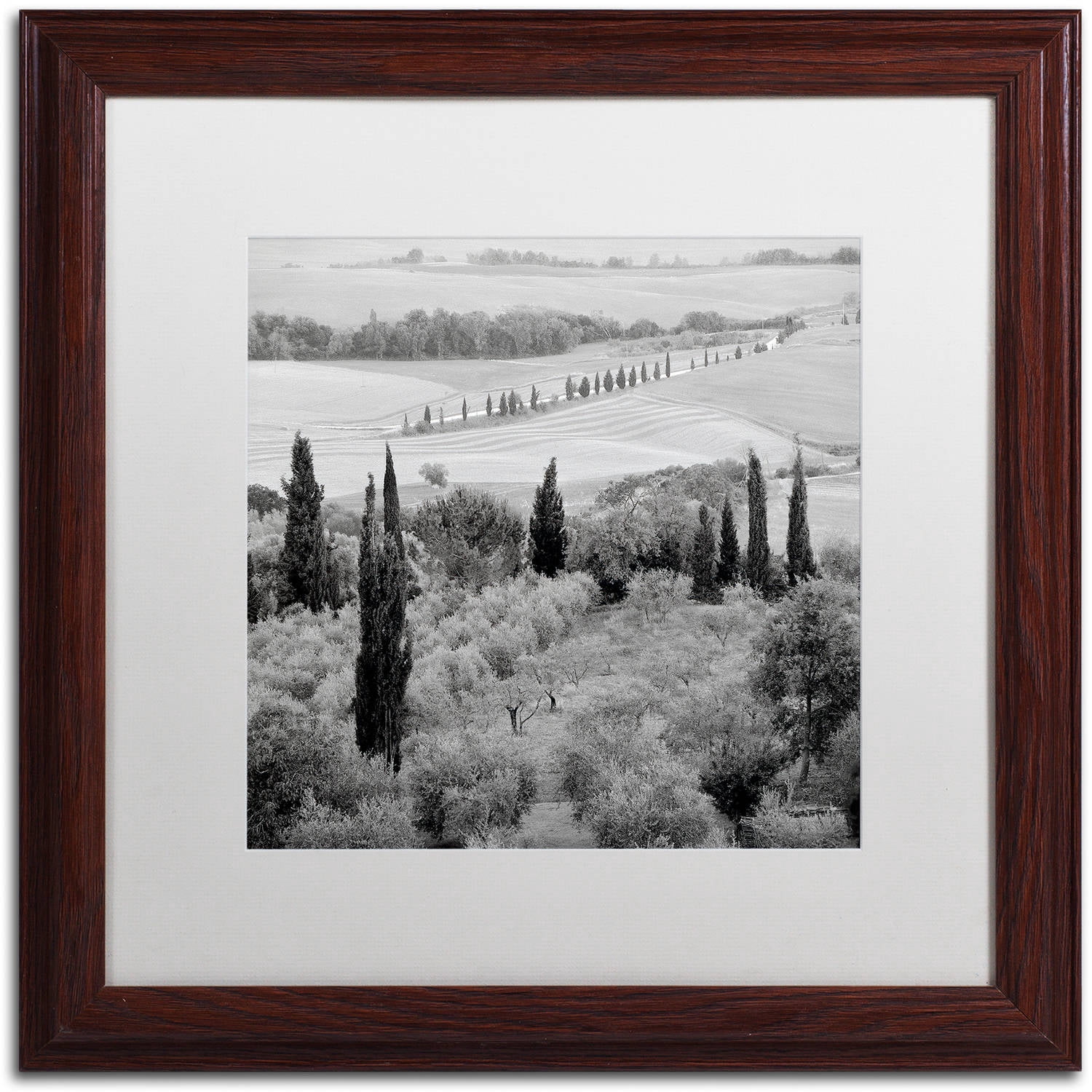 Trademark Fine Art "Tuscany X" Canvas Art by Alan Blaustein, White Matte, Wood Frame