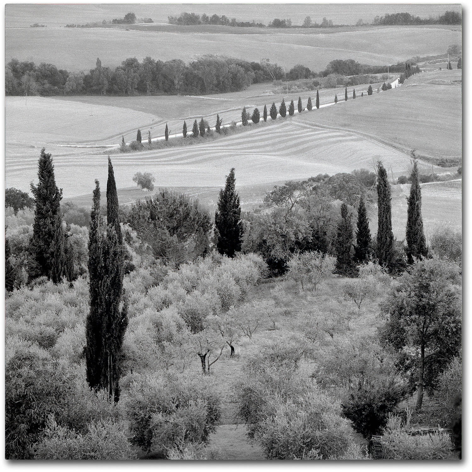 Trademark Fine Art "Tuscany X" Canvas Art by Alan Blaustein