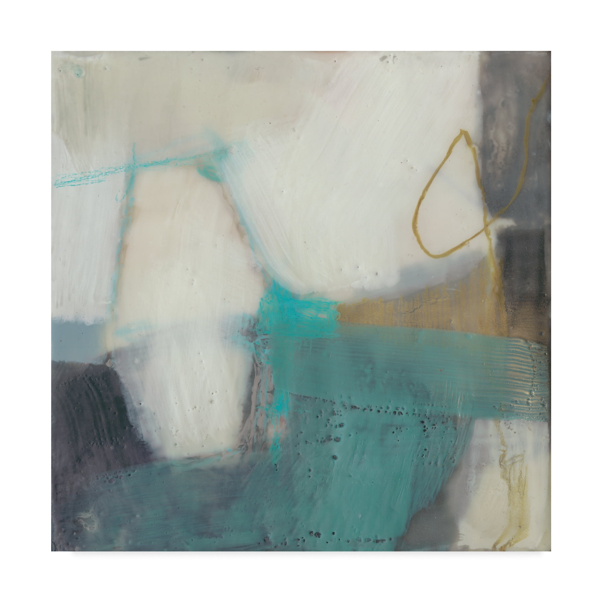 Trademark Fine Art 'Tusk II' Canvas Art by Sue Jachimiec