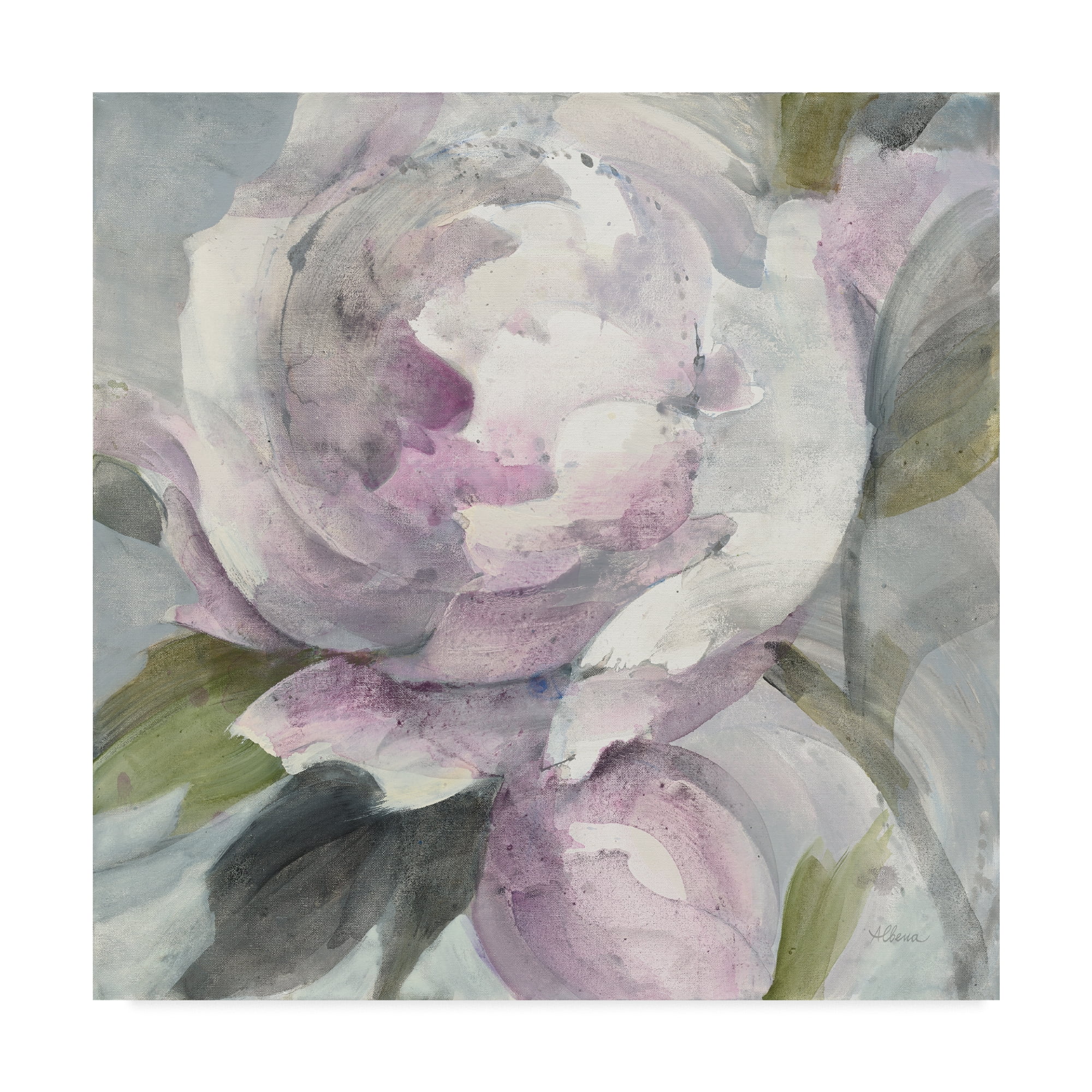 Trademark Fine Art 'Twilight Peony' Canvas Art by Albena Hristova