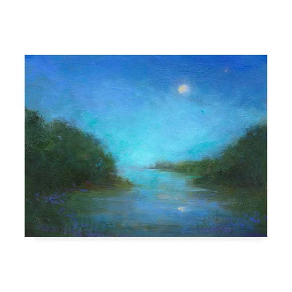 Trademark Fine Art 'Twilight River' Canvas Art by Sheila Finch