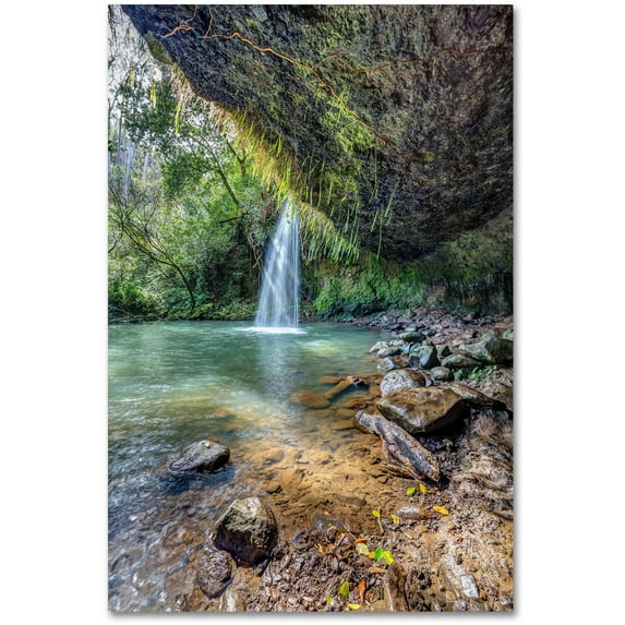 Trademark Fine Art 'Twin Falls' Canvas Art by Pierre Leclerc
