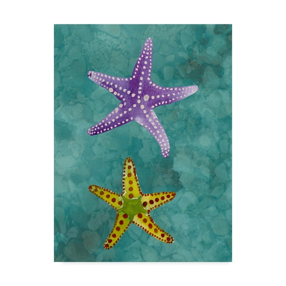 Trademark Fine Art 'Twin Starfish II' Canvas Art by Alicia Ludwig