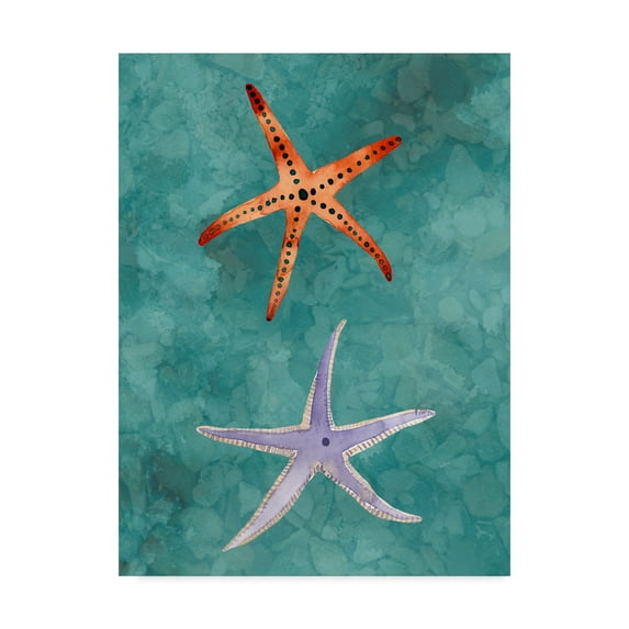 Trademark Fine Art 'Twin Starfish III' Canvas Art by Alicia Ludwig
