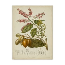 Trademark Fine Art 'Twining Botanicals IV' Canvas Art by Elizabeth Twining