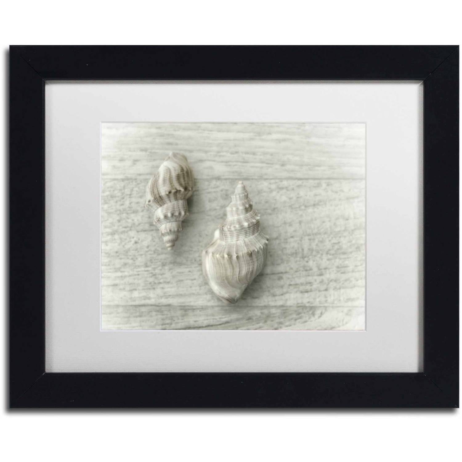 Trademark Fine Art 'Two Cancellaria Shells' Canvas Art by Cora Niele, White Matte, Black Frame