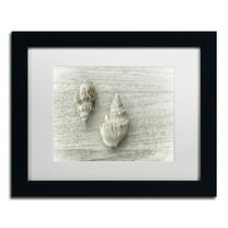 Trademark Fine Art 'Two Cancellaria Shells' Canvas Art by Cora Niele, White Matte, Black Frame