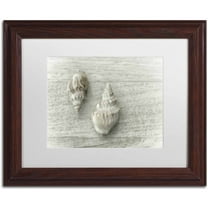 Trademark Fine Art 'Two Cancellaria Shells' Canvas Art by Cora Niele, White Matte, Wood Frame