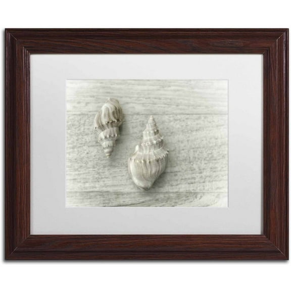 Trademark Fine Art 'Two Cancellaria Shells' Canvas Art by Cora Niele, White Matte, Wood Frame