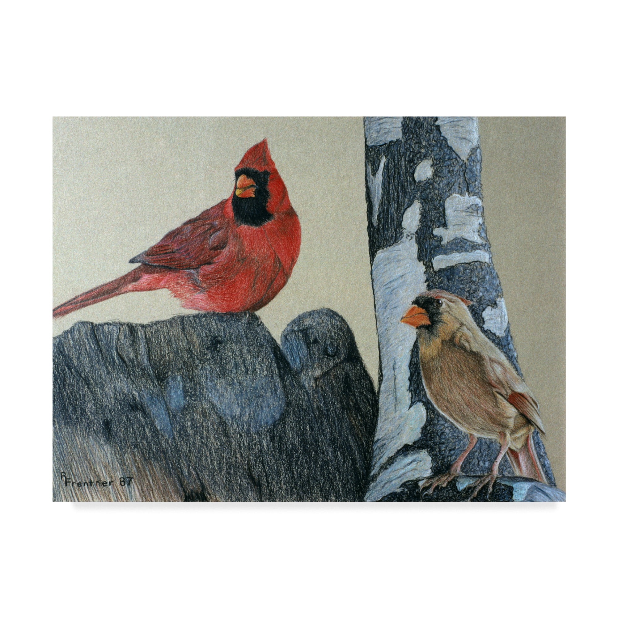 Trademark Fine Art 'Two Cardinals' Canvas Art by Rusty Frentner