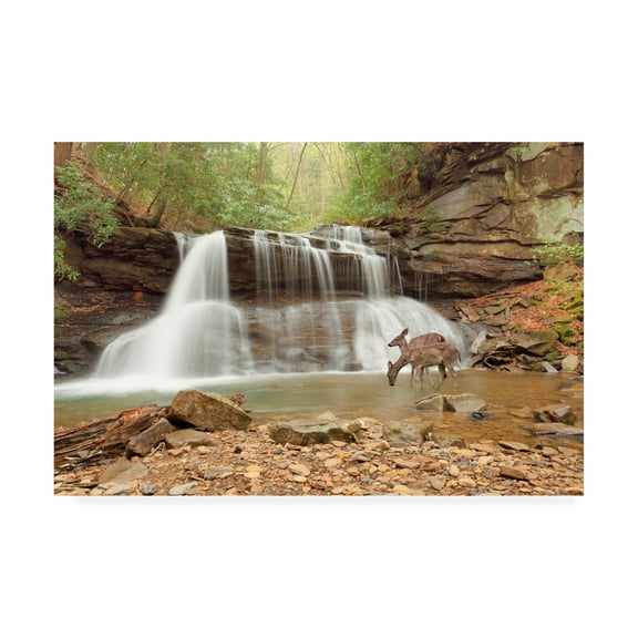 Trademark Fine Art 'Two Deer At Holly River Falls West Virginia' Canvas Art by Monte Nagler