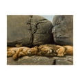 thumbnail image 1 of Trademark Fine Art 'Two Lions Head To Head' Canvas Art by Harro Maass, 1 of 3