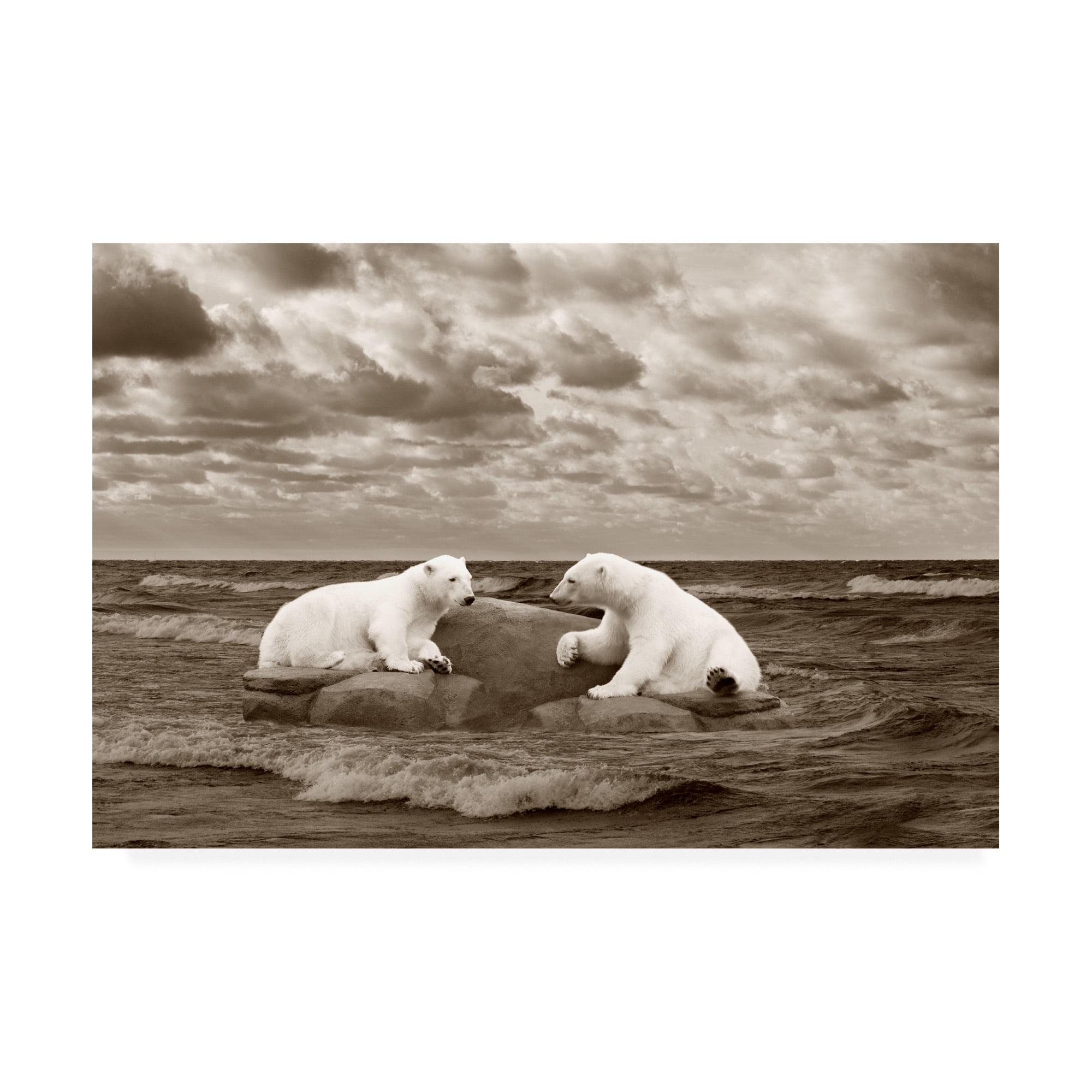 Two Polar Bears Coastline Sepia Canvas Print, 12 x 19