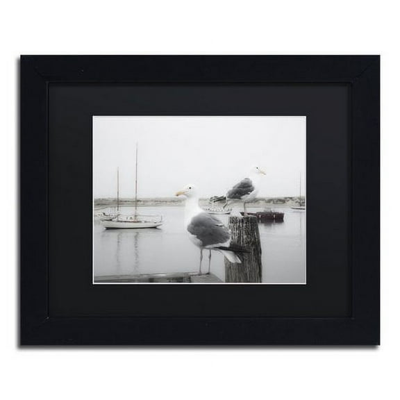 Trademark Fine Art "Two Seagulls and Boats" Canvas Art by Moises Levy Black Matte, Black Frame
