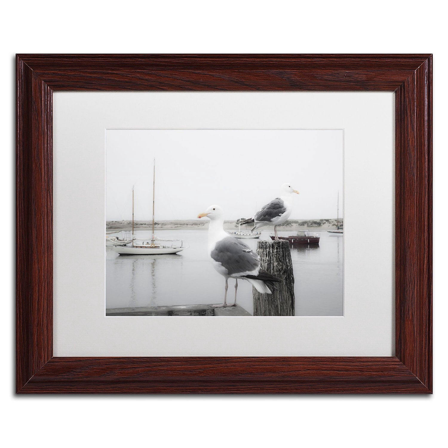 Trademark Fine Art "Two Seagulls and Boats" Canvas Art by Moises Levy White Matte, Wood Frame