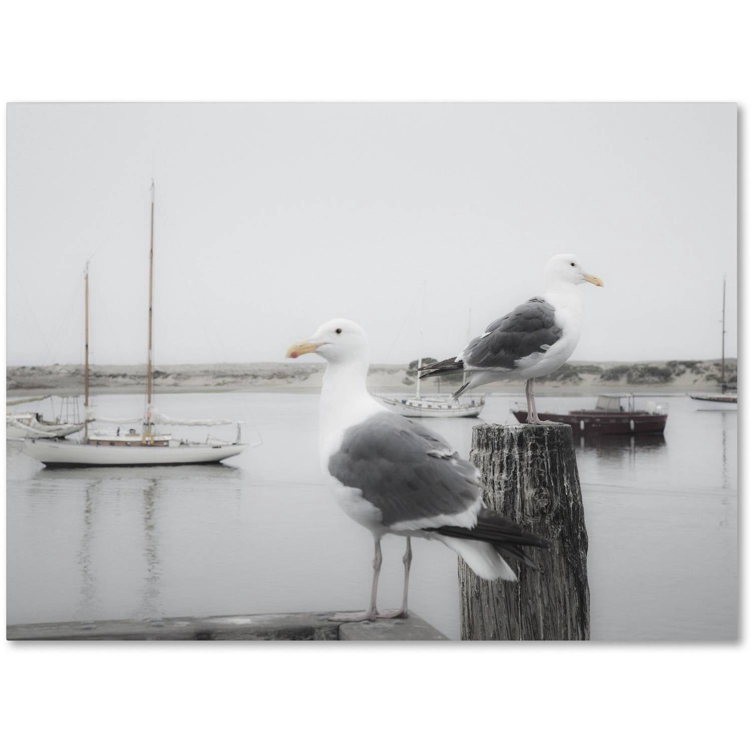 Trademark Fine Art "Two Seagulls and Boats" Canvas Art by Moises Levy