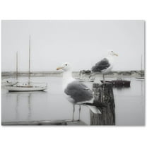 Trademark Fine Art "Two Seagulls and Boats" Canvas Art by Moises Levy