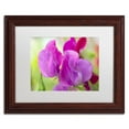 thumbnail image 1 of Trademark Fine Art 'Two Sweet Pea Flowers' Canvas Art by Cora Niele, White Matte, Wood Frame, 1 of 1