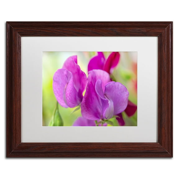 Trademark Fine Art 'Two Sweet Pea Flowers' Canvas Art by Cora Niele, White Matte, Wood Frame