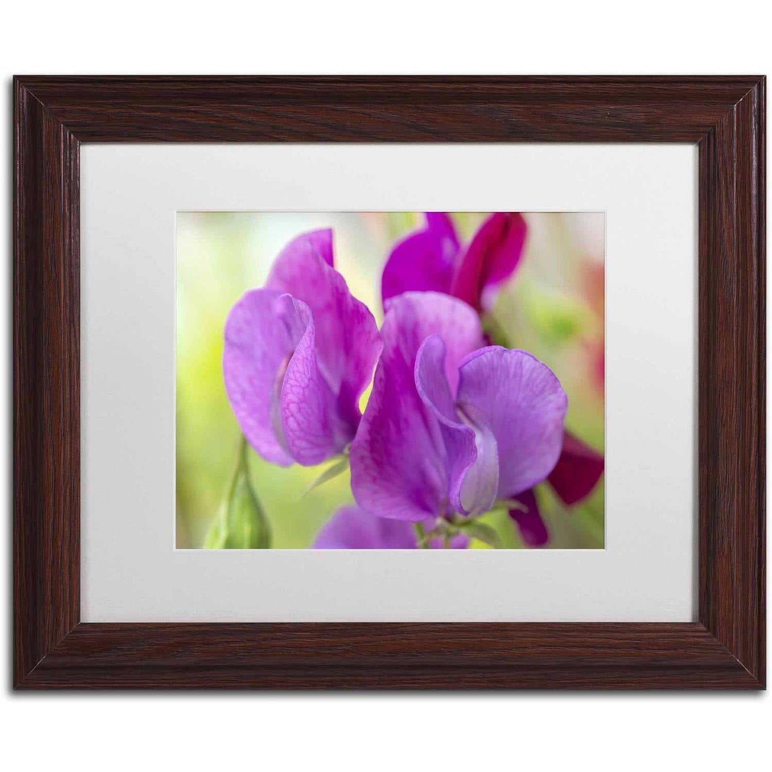 Trademark Fine Art 'Two Sweet Pea Flowers' Canvas Art by Cora Niele, White Matte, Wood Frame