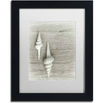 Trademark Fine Art 'Two White Shells' Canvas Art by Cora Niele, White Matte, Black Frame