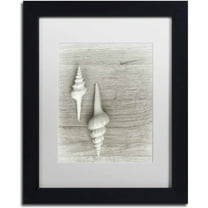 Trademark Fine Art 'Two White Shells' Canvas Art by Cora Niele, White Matte, Black Frame