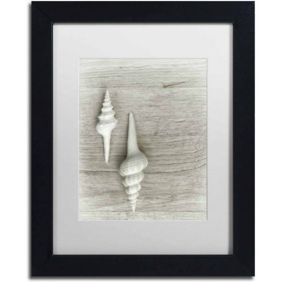 Trademark Fine Art 'Two White Shells' Canvas Art by Cora Niele, White Matte, Black Frame