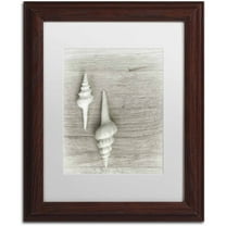 Trademark Fine Art 'Two White Shells' Canvas Art by Cora Niele, White Matte, Wood Frame