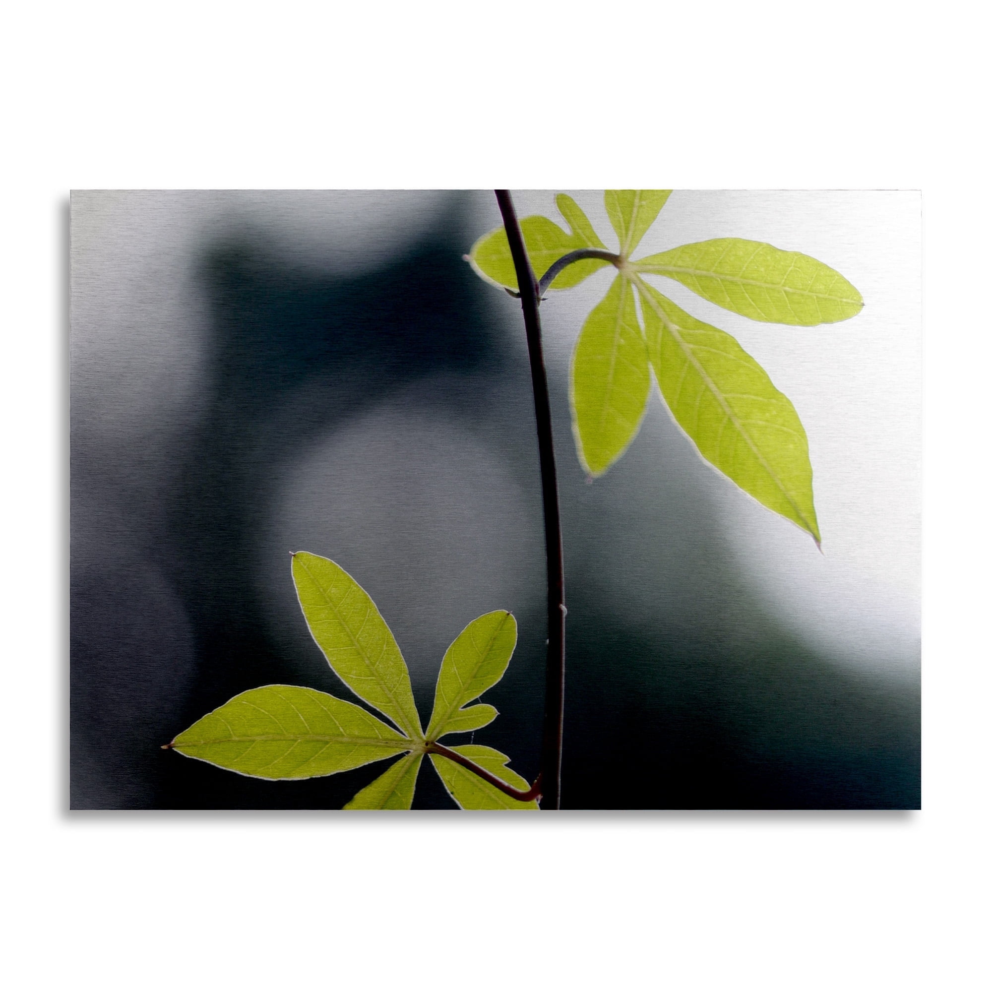 Trademark Fine Art 'Two of Us' Brushed Aluminum Wall Art Art by Beata Czyzowska Young