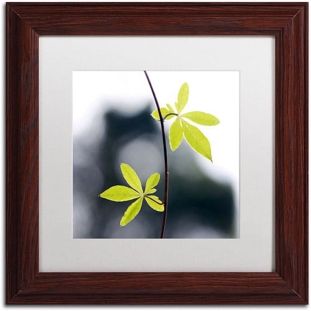 Beata Czyzowska Young Framed Canvas Art with White Matte