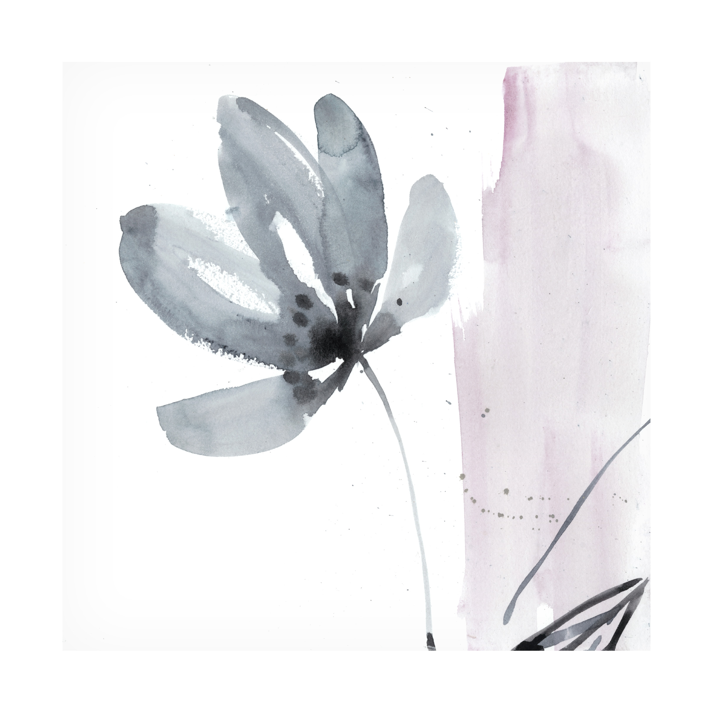Trademark Fine Art Jennifer Goldberger Ua Ch Blush Flower Splash I Canvas Wall Art - 35x35